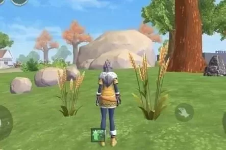 《创造与魔法》小麦采集与种植攻略：稳定来源指南