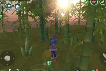 《创造与魔法》种植竹材攻略：竹笋获取与种植步骤