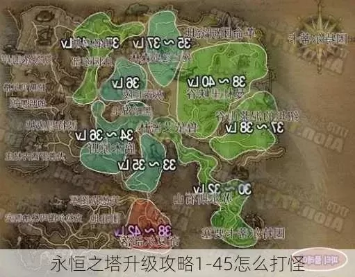 《永恒之塔》小号快速升级攻略：组队刷精英怪、卡怪、主线任务与料理委托技巧