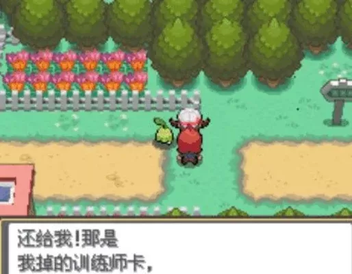 口袋妖怪心金一周目攻略：初始准备与城镇探险