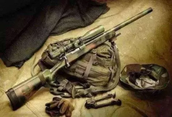 亡魂伏尔卡狙击枪：性能解析及收藏价值