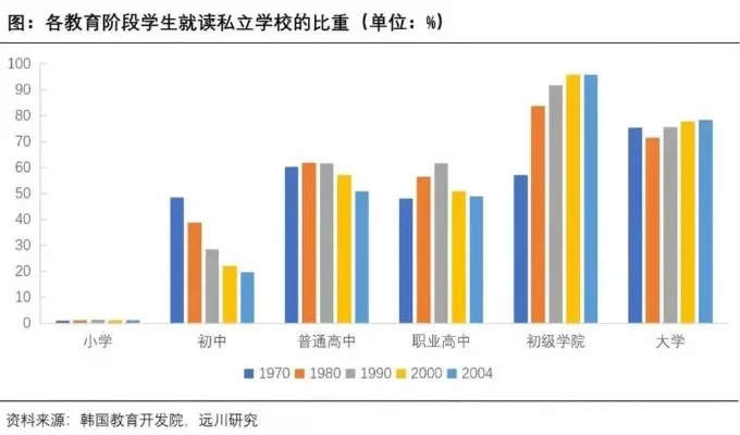 城市教育成就解析：基础与高等教育崛起，游戏策略解锁多元化发展