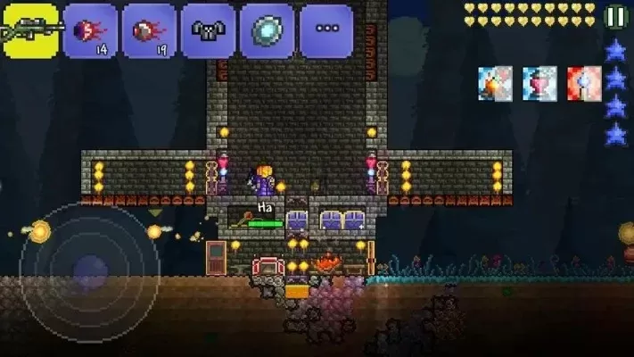 泰拉瑞亚南瓜获取攻略：种植、节日生长及转化方法