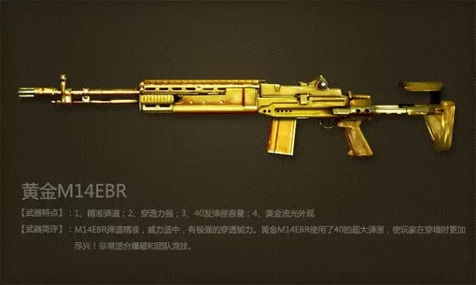 穿越火线m14ebr大黄蜂-穿越火线M14EBR传奇武器