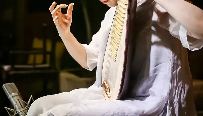 独弦绝悲音正常模式-独弦绝悲音的魅力