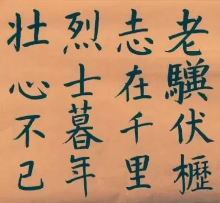 老骥伏枥志在千里烈士暮年壮心不已-岁月坚守壮心长