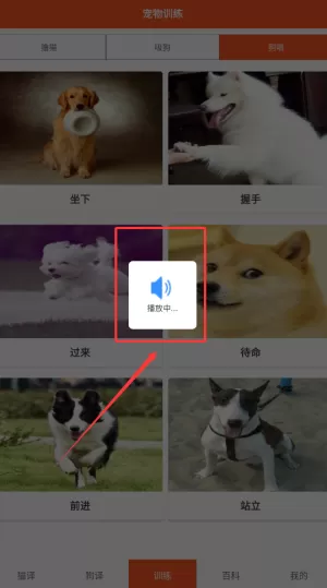 萌趣猫狗翻译器