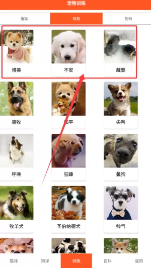 萌趣猫狗翻译器