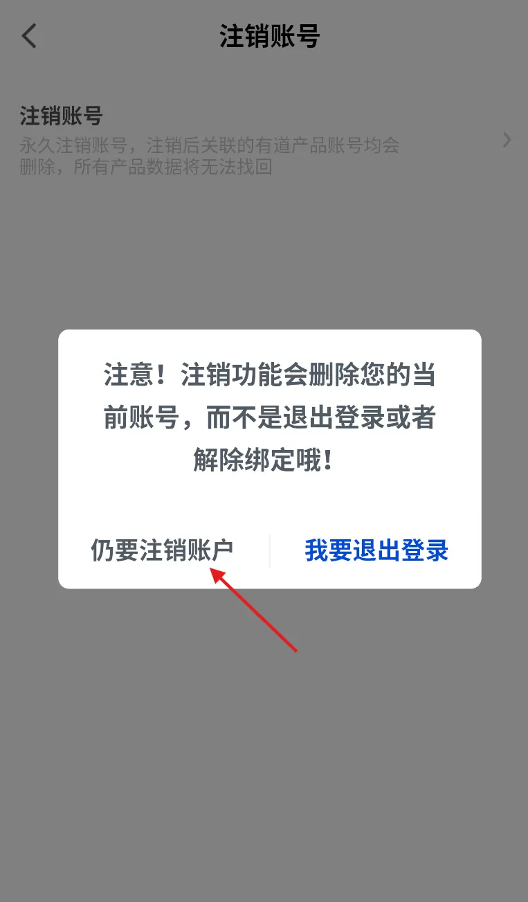 有道领世