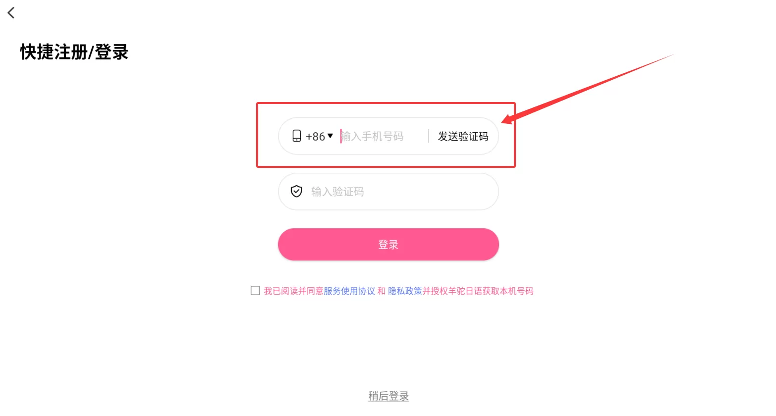 羊驼日语单词