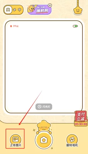 拍拍单词