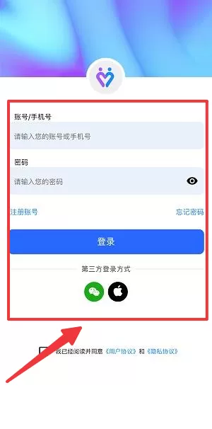 趣芯