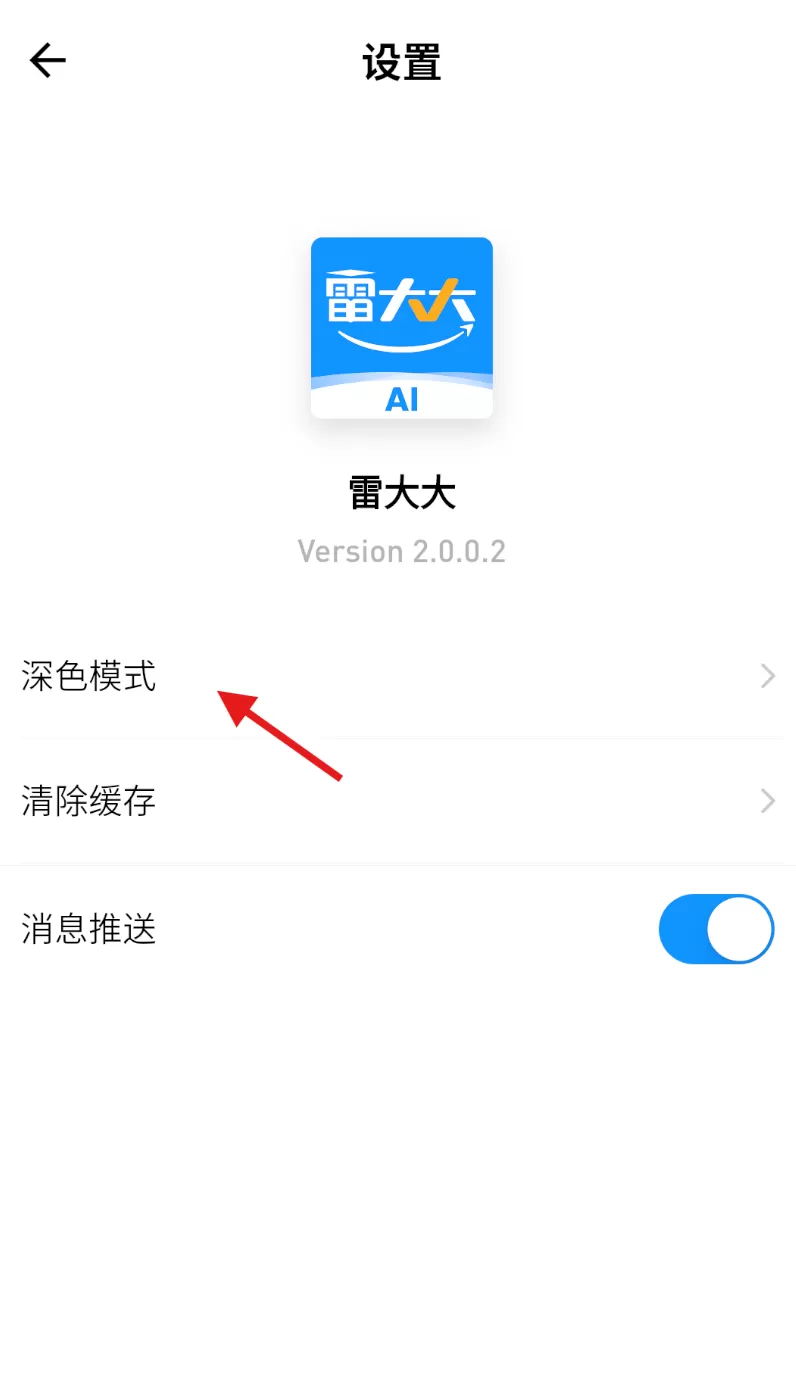 雷大大