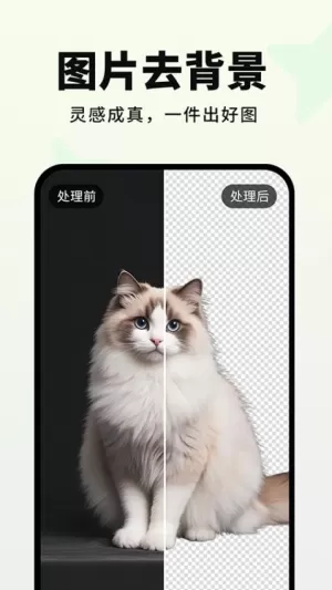 画易