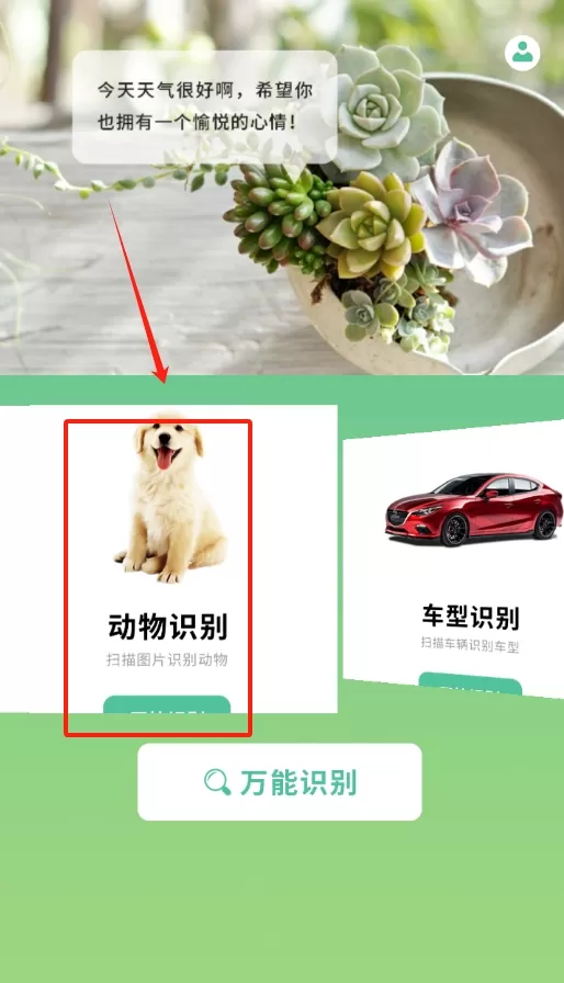 花卉百科