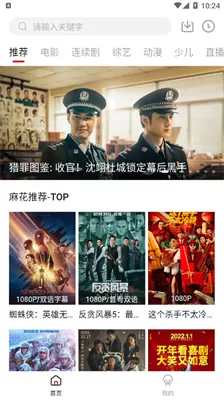 麻花视频去广告版