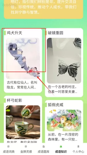 金牌成语