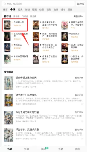 常读小说