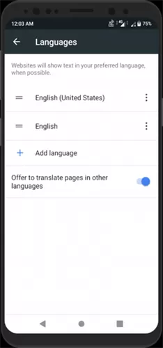 Kiwi Browser