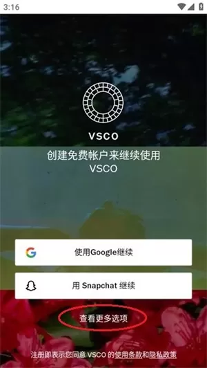 VSCO中文版