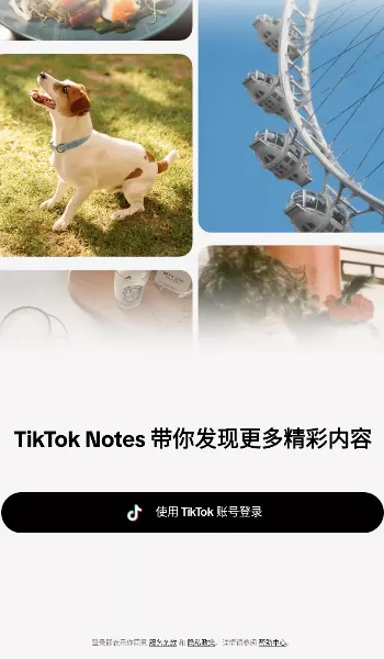 tiktok notes最新版