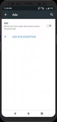 Kiwi Browser