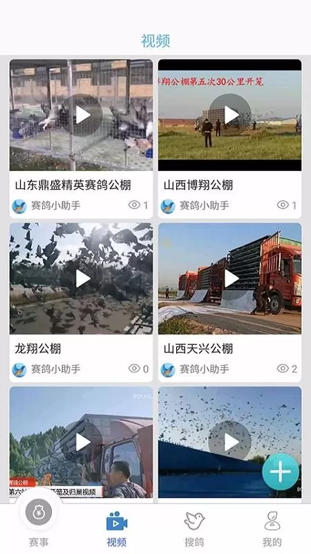 赛鸽助手
