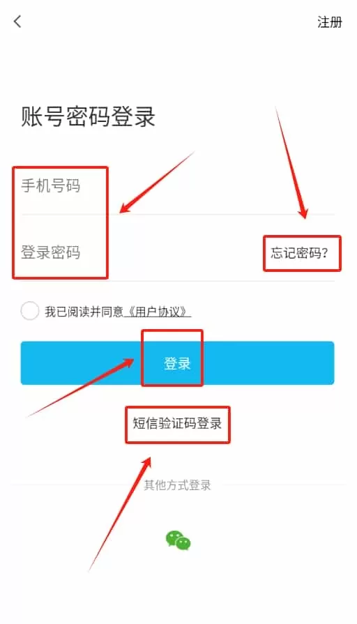 粤汇美