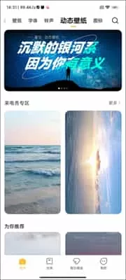 小米主题国际版