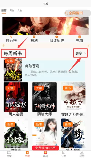 文楼小说