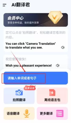 王牌翻译官