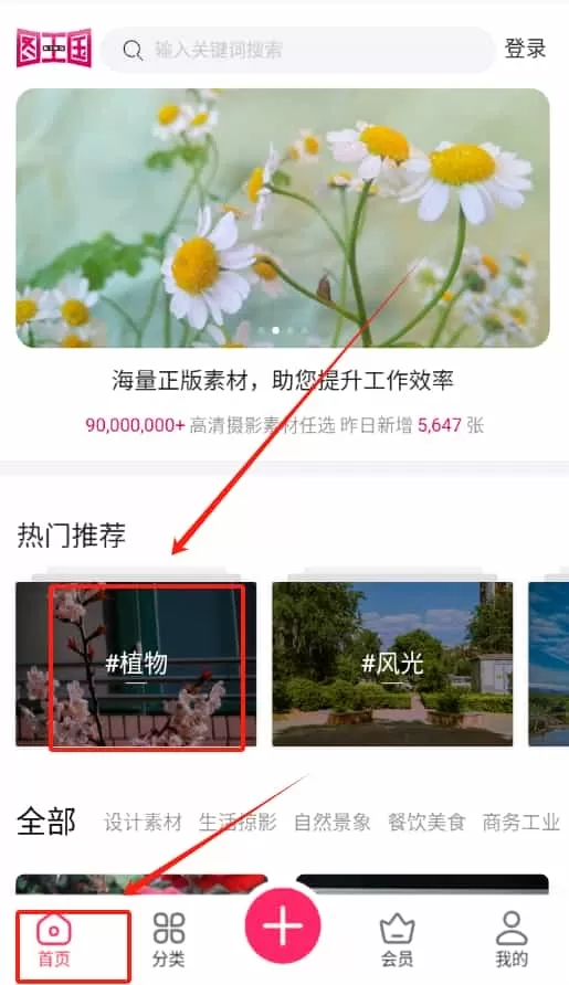 图王国