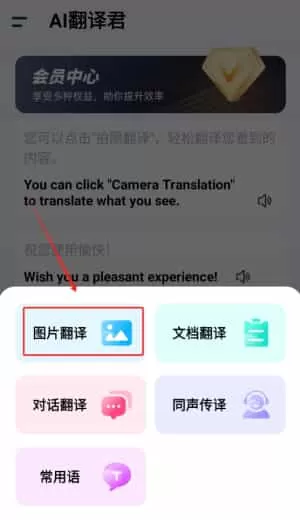 王牌翻译官