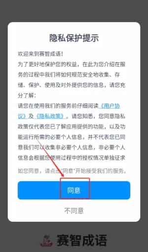 赛智成语