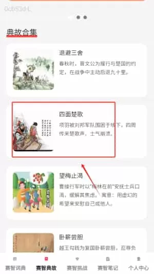 赛智成语