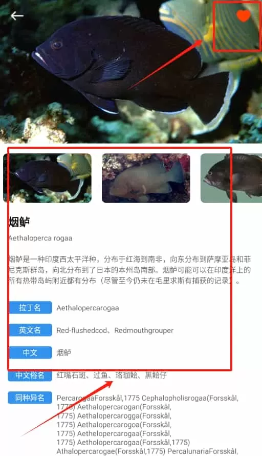 奇妙海洋
