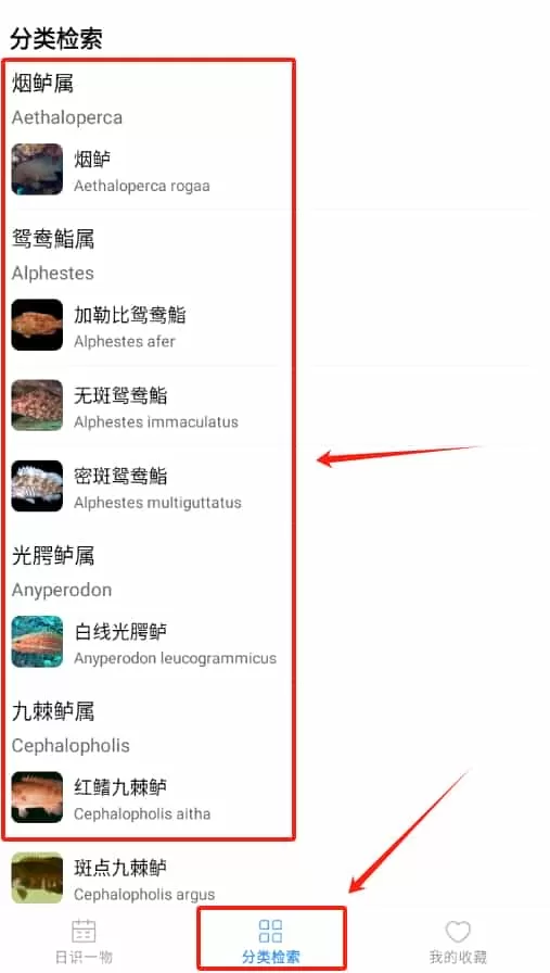 奇妙海洋
