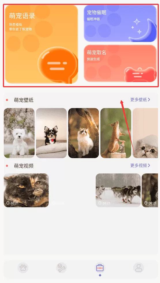 猫番