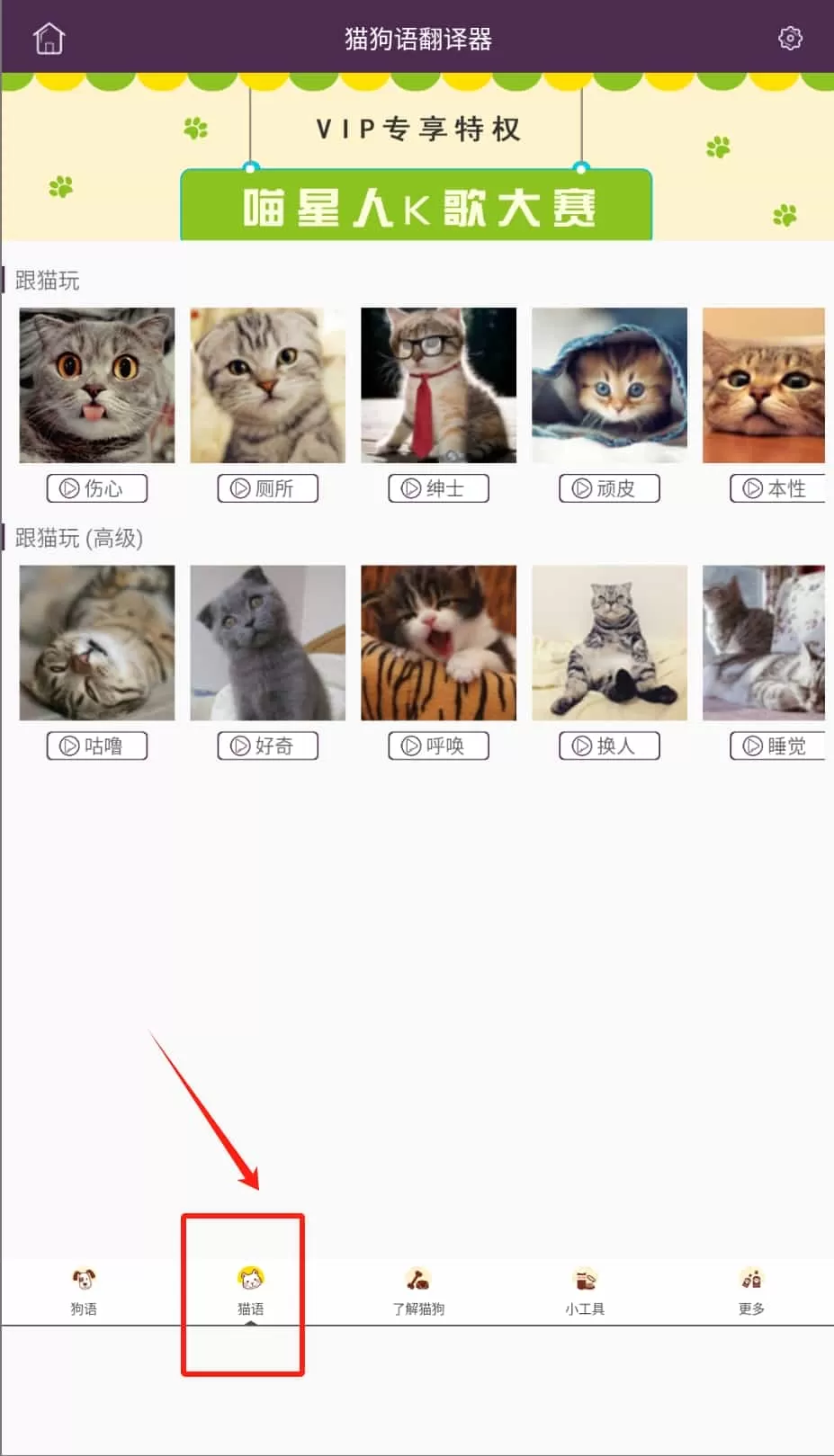 猫狗语翻译器