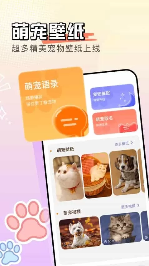 猫番