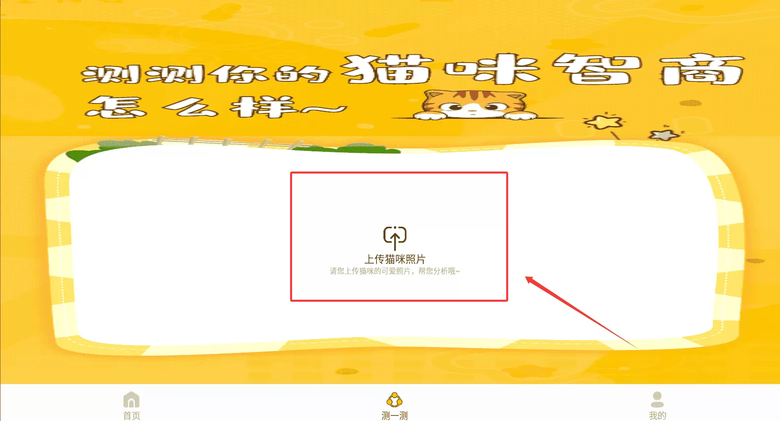 猫语神翻译