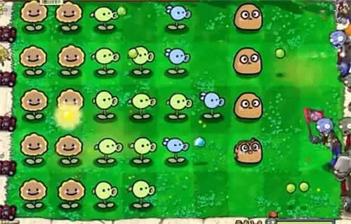 菊长大人植物大战僵尸幼儿园版