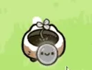 菊长大人植物大战僵尸幼儿园版