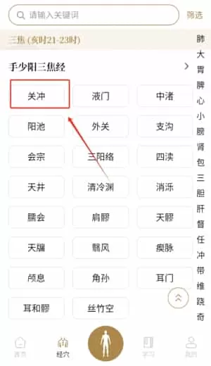 经络穴位标准指南