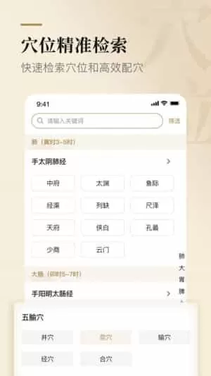 经络穴位标准指南