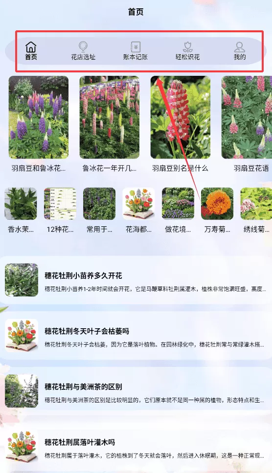 花朵爱消消