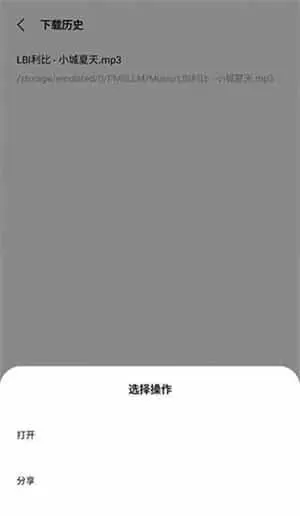 歌词适配免费版
