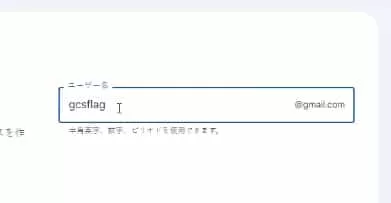 谷歌地图安装包