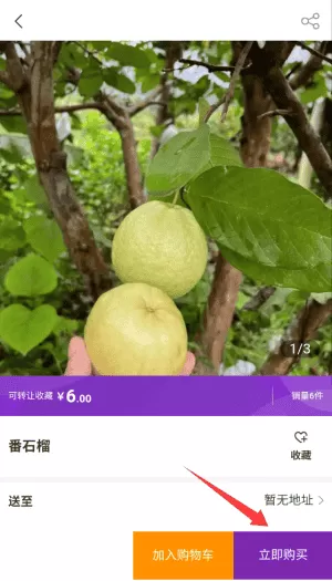 斐谣庄园