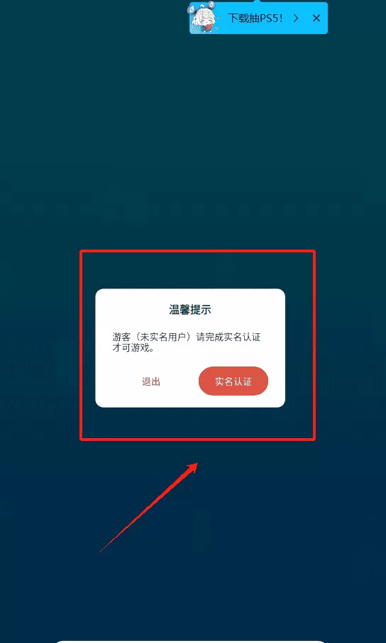 综合格斗冠军